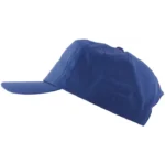 Sapca LION albastru electric